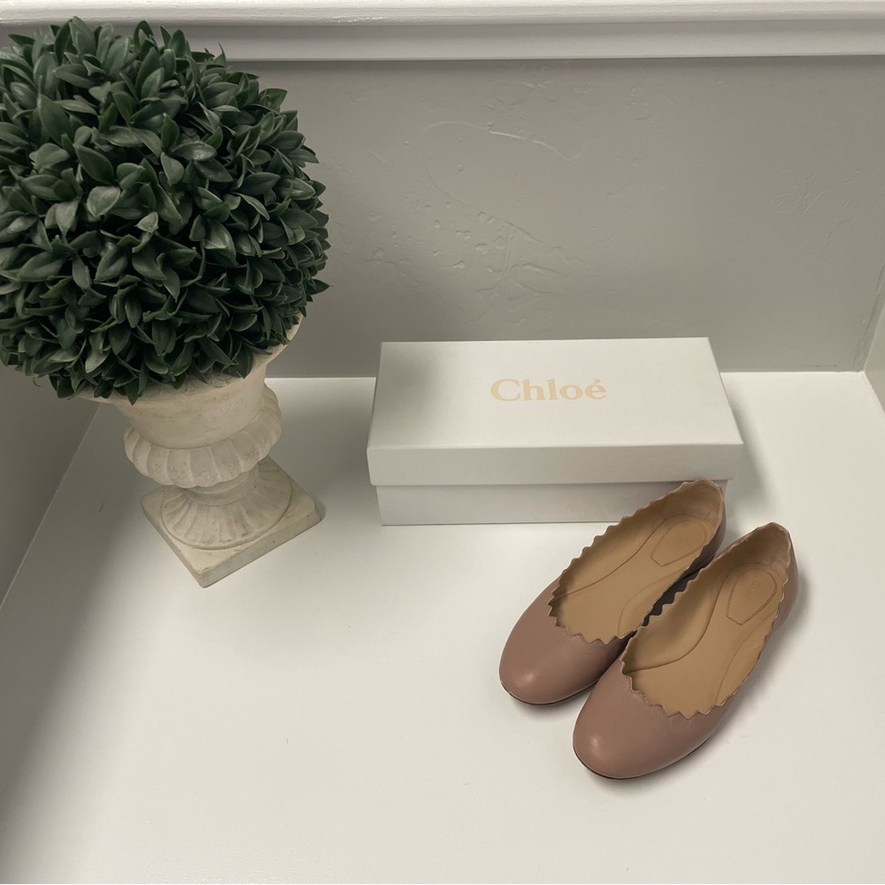 Chloe Lauren Scalloped Leather Ballerina Flat
